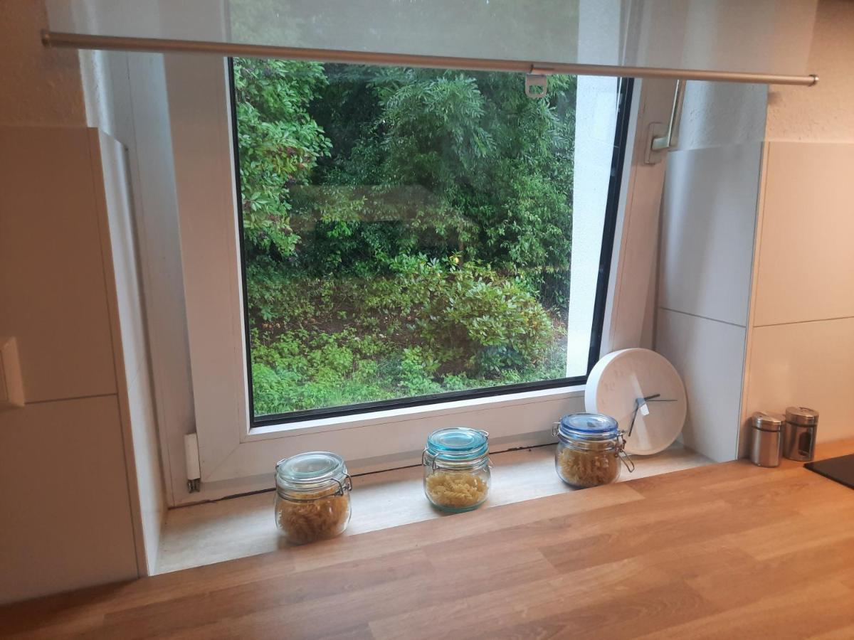 Precioso Apartamento, Aparcamiento Gratis 奥古斯都堡 外观 照片